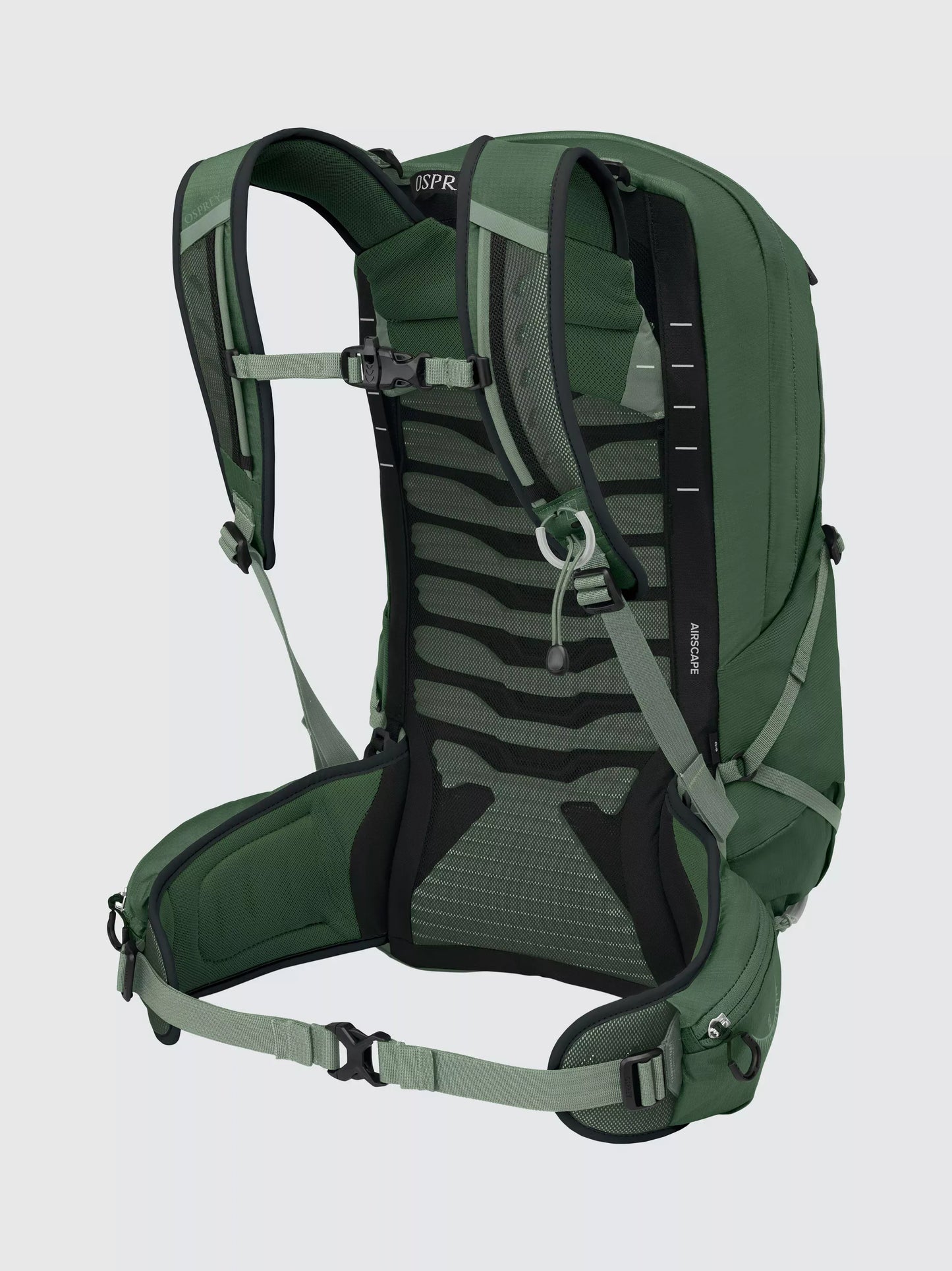 Osprey Talon 22L Multi-Sport Backpack, Green Canopy